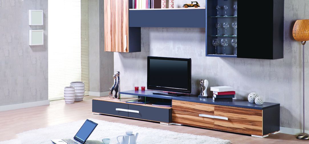 tv interior design